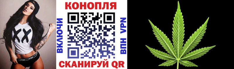 Конопля индика  Белинский 